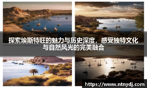 竞技宝下载