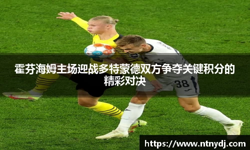 霍芬海姆主场迎战多特蒙德双方争夺关键积分的精彩对决