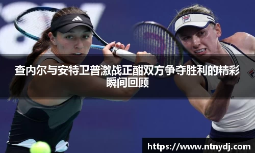 查内尔与安特卫普激战正酣双方争夺胜利的精彩瞬间回顾