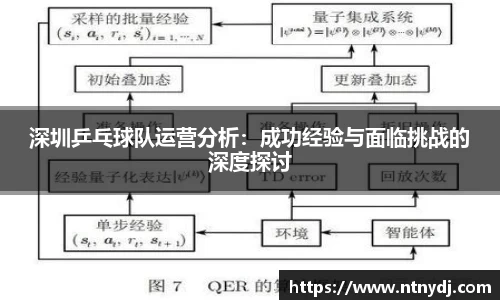 深圳乒乓球队运营分析：成功经验与面临挑战的深度探讨