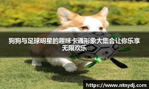 狗狗与足球明星的趣味卡通形象大集合让你乐享无限欢乐